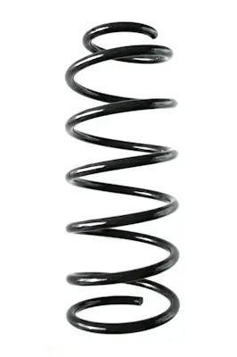 Fahrwerksfeder Vorderachse SPIDAN 55616 Bild Fahrwerksfeder Vorderachse SPIDAN 55616