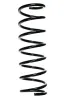 Fahrwerksfeder Hinterachse SPIDAN 55676