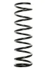 Fahrwerksfeder Hinterachse SPIDAN 55690