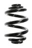 Fahrwerksfeder Hinterachse SPIDAN 55711