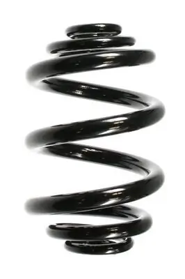 Fahrwerksfeder Hinterachse SPIDAN 55711 Bild Fahrwerksfeder Hinterachse SPIDAN 55711