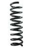 Fahrwerksfeder Vorderachse SPIDAN 55724