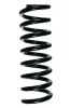 Fahrwerksfeder Hinterachse SPIDAN 55728