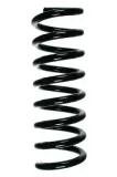 Fahrwerksfeder Hinterachse SPIDAN 55728
