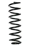 Fahrwerksfeder Hinterachse SPIDAN 55734