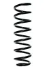 Fahrwerksfeder Hinterachse SPIDAN 55735