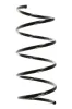 Fahrwerksfeder Vorderachse SPIDAN 55749
