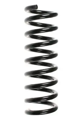 Fahrwerksfeder Hinterachse SPIDAN 55750 Bild Fahrwerksfeder Hinterachse SPIDAN 55750
