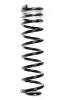 Fahrwerksfeder Hinterachse SPIDAN 55752