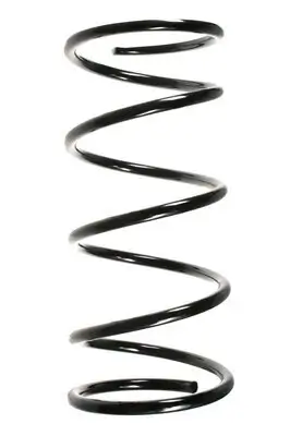 Fahrwerksfeder Vorderachse SPIDAN 55761 Bild Fahrwerksfeder Vorderachse SPIDAN 55761