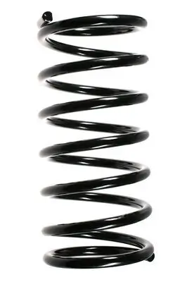 Fahrwerksfeder Hinterachse SPIDAN 55766 Bild Fahrwerksfeder Hinterachse SPIDAN 55766