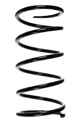 Fahrwerksfeder Hinterachse SPIDAN 55783