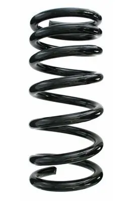 Fahrwerksfeder Hinterachse SPIDAN 55787