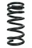 Fahrwerksfeder Hinterachse SPIDAN 55787