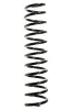 Fahrwerksfeder Hinterachse SPIDAN 55808