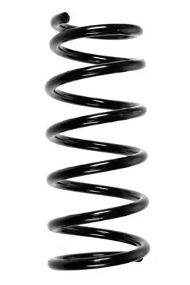 Fahrwerksfeder Hinterachse SPIDAN 55896