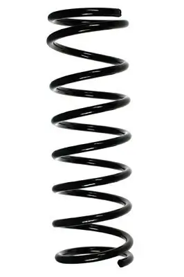 Fahrwerksfeder Hinterachse SPIDAN 55930