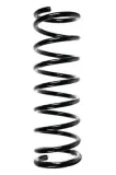 Fahrwerksfeder Hinterachse SPIDAN 55932