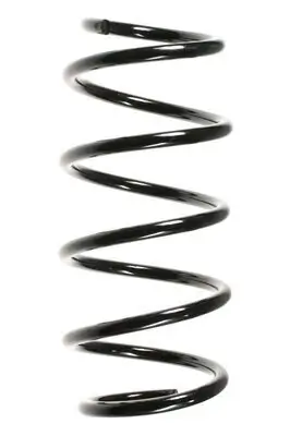 Fahrwerksfeder Vorderachse SPIDAN 55963