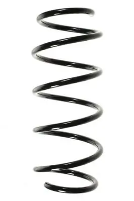 Fahrwerksfeder Vorderachse SPIDAN 55964