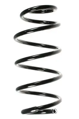 Fahrwerksfeder Vorderachse SPIDAN 55967