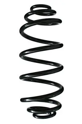 Fahrwerksfeder Hinterachse SPIDAN 55972