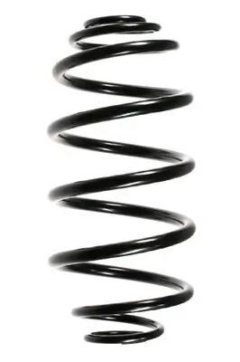 Fahrwerksfeder Hinterachse SPIDAN 55975