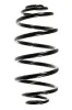 Fahrwerksfeder Hinterachse SPIDAN 55975