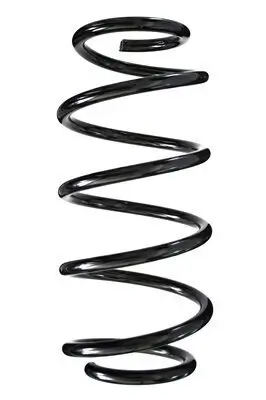 Fahrwerksfeder Vorderachse SPIDAN 55979