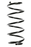 Fahrwerksfeder Vorderachse SPIDAN 55980