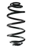 Fahrwerksfeder Hinterachse SPIDAN 55991