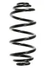 Fahrwerksfeder Hinterachse SPIDAN 55992