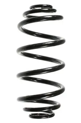 Fahrwerksfeder Hinterachse SPIDAN 55992 Bild Fahrwerksfeder Hinterachse SPIDAN 55992