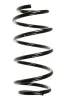Fahrwerksfeder Hinterachse SPIDAN 55993