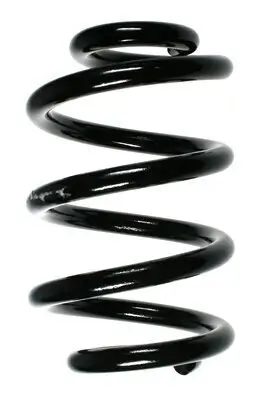 Fahrwerksfeder Vorderachse SPIDAN 55996