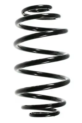 Fahrwerksfeder Hinterachse SPIDAN 56005