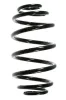 Fahrwerksfeder Hinterachse SPIDAN 56005