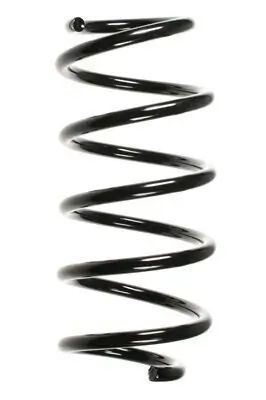 Fahrwerksfeder Vorderachse SPIDAN 56008