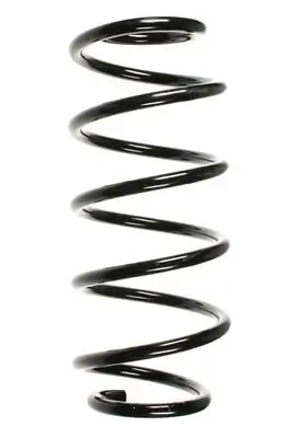 Fahrwerksfeder Vorderachse SPIDAN 56029