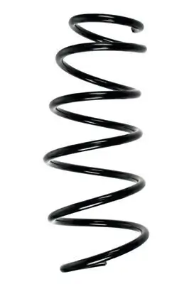 Fahrwerksfeder Vorderachse SPIDAN 56035