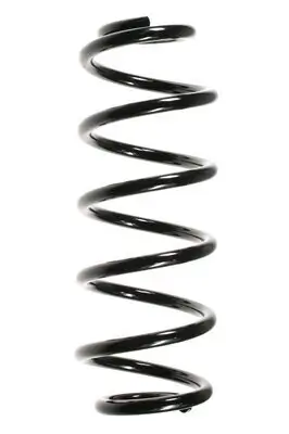 Fahrwerksfeder Hinterachse SPIDAN 56059