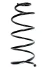 Fahrwerksfeder Vorderachse SPIDAN 56067