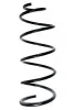 Fahrwerksfeder Vorderachse SPIDAN 56074