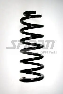 Fahrwerksfeder Hinterachse SPIDAN 56088