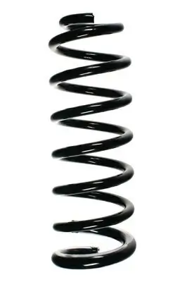 Fahrwerksfeder Hinterachse SPIDAN 56089