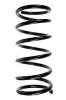 Fahrwerksfeder Vorderachse SPIDAN 56100