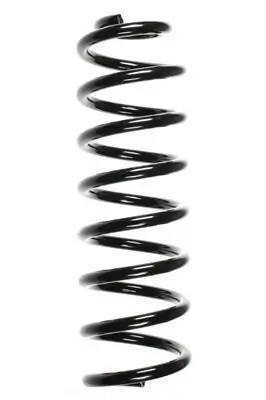 Fahrwerksfeder Hinterachse SPIDAN 56155