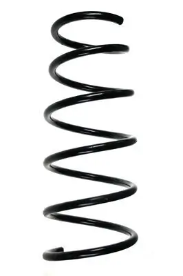 Fahrwerksfeder Vorderachse SPIDAN 56156