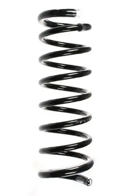 Fahrwerksfeder Hinterachse SPIDAN 56157