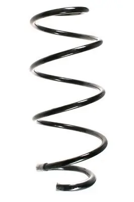 Fahrwerksfeder Vorderachse SPIDAN 56160